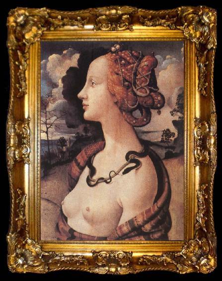 framed  Piero di Cosimo Portrait of Simonetta vespucci, ta009-2